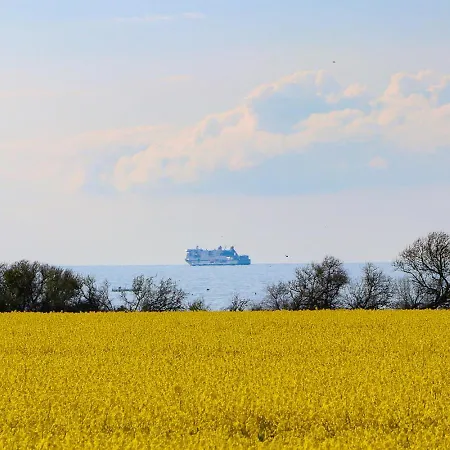 Wilhelmine * Nienhagen