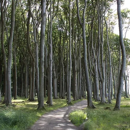 Apartment Wilhelmine