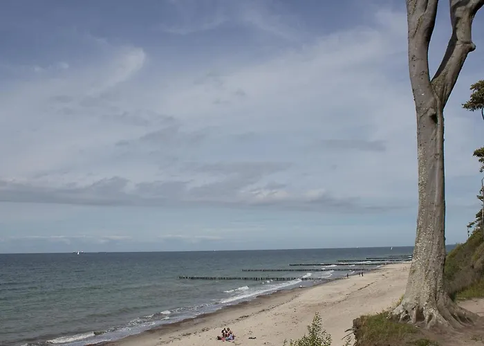 Wilhelmine Appartement Ostseebad Nienhagen