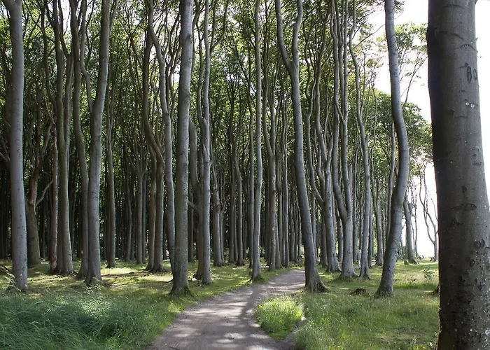 Appartement Wilhelmine